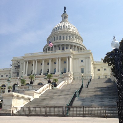 pic of DC Capitol bldg from PZ 3 3 17.JPG